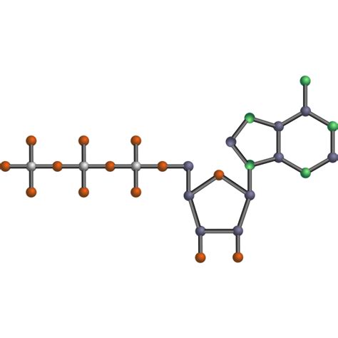 ATP molecule | Free SVG