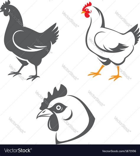 Chicken Royalty Free Vector Image - VectorStock