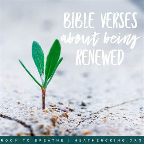 Bible Verses about Being Renewed – Heather C. King – Room to Breathe