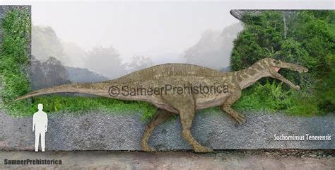 Suchomimus Size by SameerPrehistorica on DeviantArt