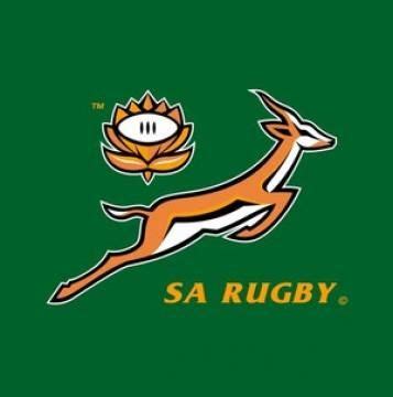 Springbok Rugby Logo