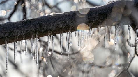 NYC weather: Temps near 60 for Friday as possible weekend storm looms ...