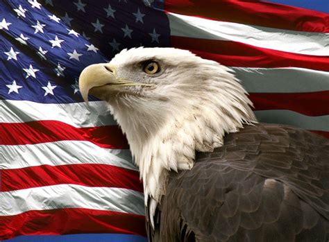 USA Flag Eagle Wallpapers - Top Free USA Flag Eagle Backgrounds ...