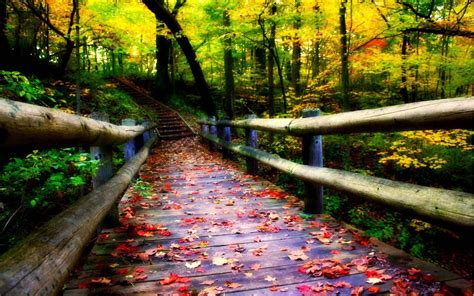 Autumn Bridge Wallpapers - Wallpaper Cave