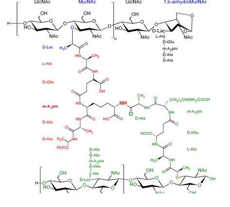 GLYCOPEDIA