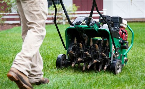 Lawn Aeration | Dalmatian Landscaping