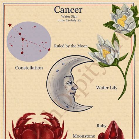 Zodiac Astrology Vintage Style Poster - Etsy