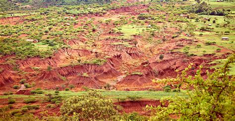 Explainer: Desertification and the role of climate change