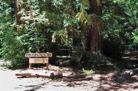 Reinhardt Redwood Picnic Areas - Oakland | East Bay Parks