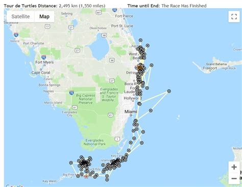 Sea Turtle Migration – Public Sea Turtle Release