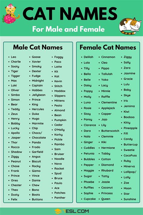 Cat Names: 70+ Most Popular Male and Female Cat Names • 7ESL