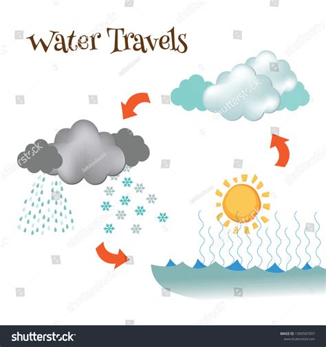 Simple Diagram Showing Evaporation Condensation Precipitation: เวกเตอร์ ...