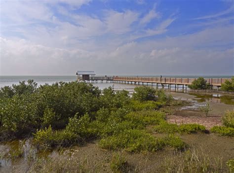 Animals you can see at the Laguna Atascosa National Wildlife Refuge