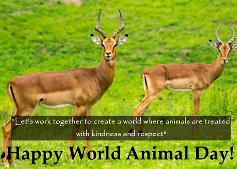 World Animal Day Quotes In English