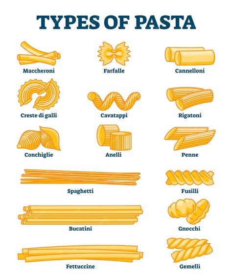 Premium Vector | Types of pasta illustration. labeled italian cuisine ...