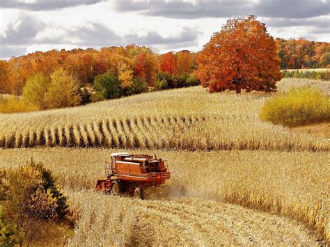 Fall Harvest Wallpapers - Wallpaper Cave