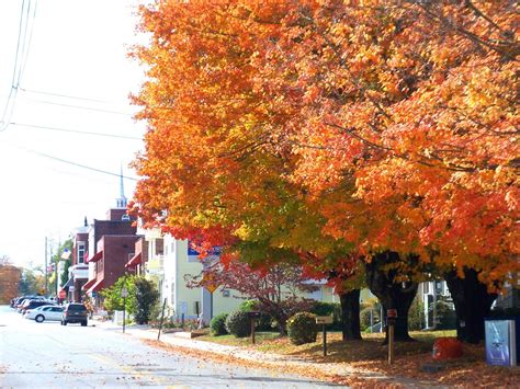 THE BLUE RIDGE EXPERIENCE: Fabulous Fall in Georgia's Blue Ridge