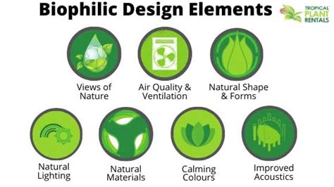 What Is Biophilic Design Definition And Benefits – NBKomputer