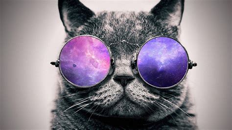 Glasses Cat Galaxy Wallpapers - Top Free Glasses Cat Galaxy Backgrounds ...