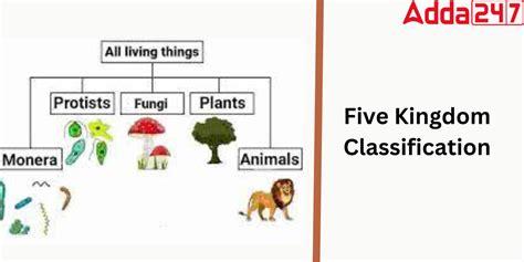 Five Kingdom Classification: Features, Examples, Characteristics ...