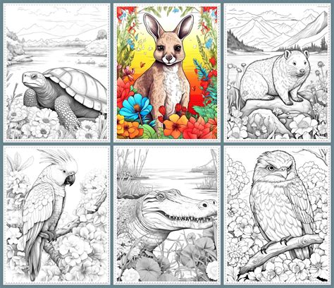 23 Australian Animals Coloring Pages Printable Australian - Etsy