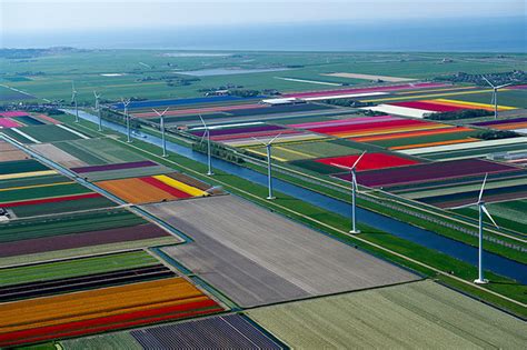 Aerial Photos Of Dutch Tulips In Bloom Look Like Earth In Pixels | DeMilked