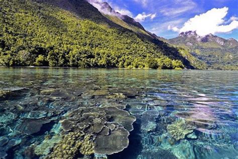 Pantai Ora | snorkeling spot in ora beach | Rendika Iswandi | Flickr