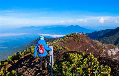 Puncak Gunung Gede – newstempo