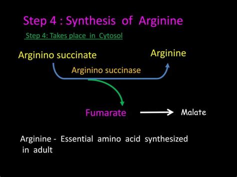 Urea synthesis | PPT