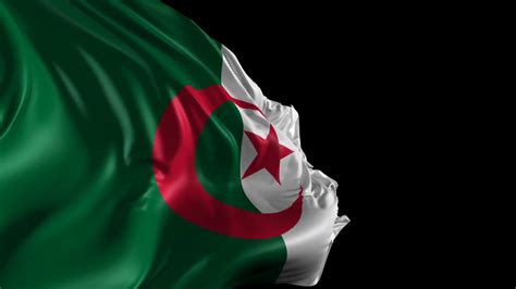 Algeria Flag HD Desktop Wallpaper 86051 - Baltana