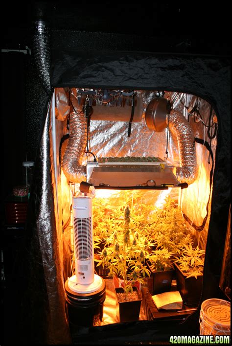 Best Grow Tent Setup | The Garden