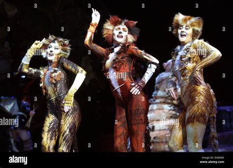 Cats Musical Costumes For Sale