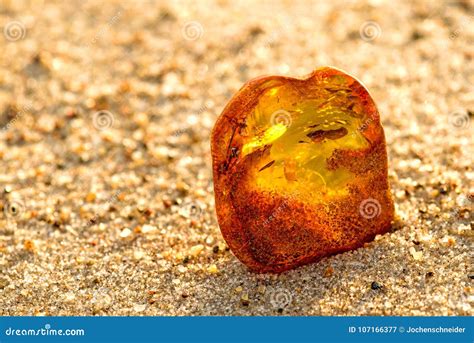 Amber on a Beach of the Baltic Sea Stock Image - Image of shiny ...