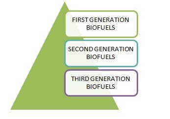 Biofuel: Types, Uses & Examples – StudiousGuy