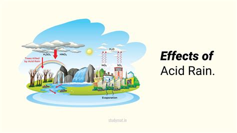 Effects of Acid Rain. - STUDYMAT