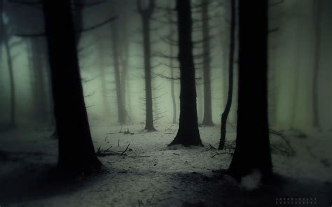 Dark Snowy Forest Wallpapers - Top Free Dark Snowy Forest Backgrounds ...