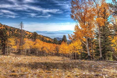 Great Basin National Park - WorldAtlas