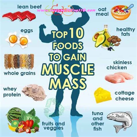 Top 10 Foods to Gain Muscle Mass ~ www.bodybuilding110.com