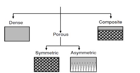 1: Membrane classification according to the morphology [1]. | Download ...