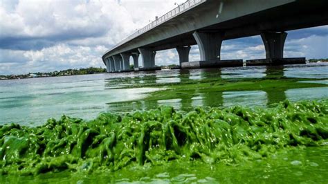 Top 10 Scariest Bridges in the US [Update 2022]