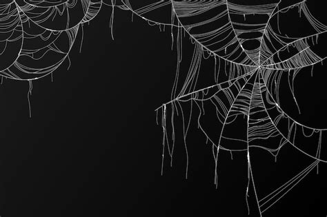 Free Vector | Realistic halloween spider webs collection