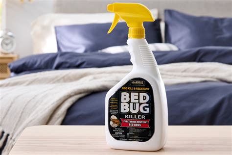 Most Effective Bed Bug Spray - Pest Phobia