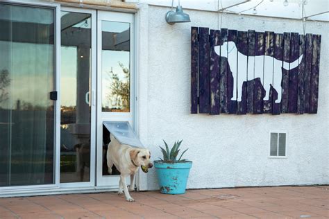 7 Steps on How to Install a Dog Door in a Sliding Glass Door