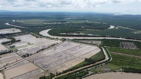 Aerial view rice paddy field during watering season 7698670 Stock Video ...