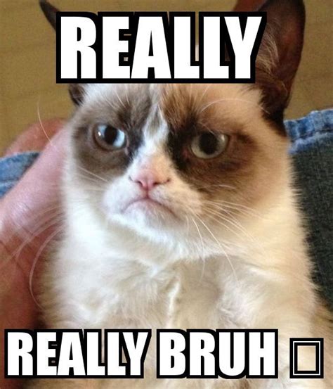 Bruh Memes - What does Bruh Face Meme Mean | Funny grumpy cat memes ...