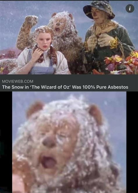 The Snow in 'The Wizard of Oz' Was 100% Pure Asbestos - iFunny