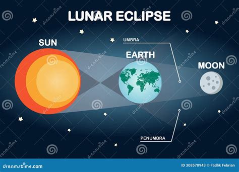 Sun, Moon, and Earth Lunar Eclipse Infographic. Flat Style Vector ...