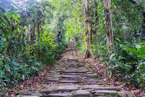 How to Trek Colombia's Lost City (Ciudad Perdida) - Thrifty Nomads