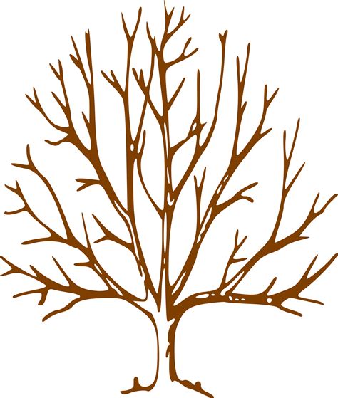 Simple Bare Tree Clipart Image Info - Tree With Bare Branches - Png ...