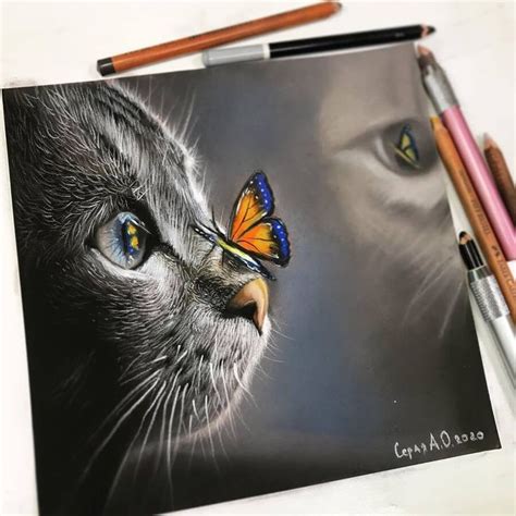 Realistic Cat and Butterfly Drawing with Colorful Pencils